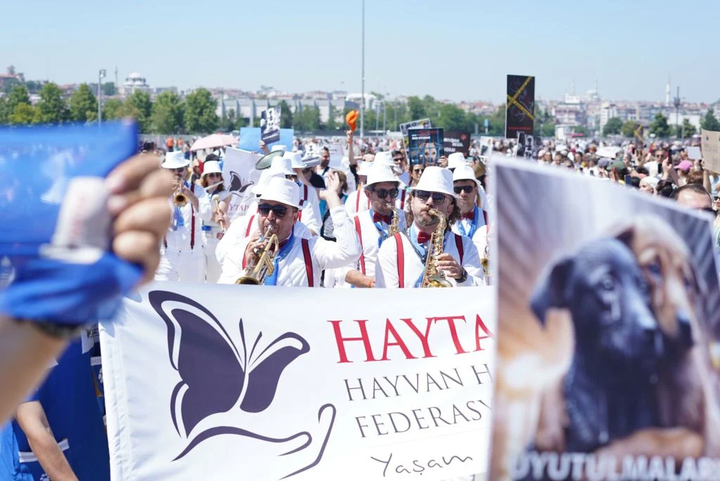 hayvan-haklari-savunuculari-miting-duzenledi-toplayamazsin-hapsedemezsin-olduremezsin (1)