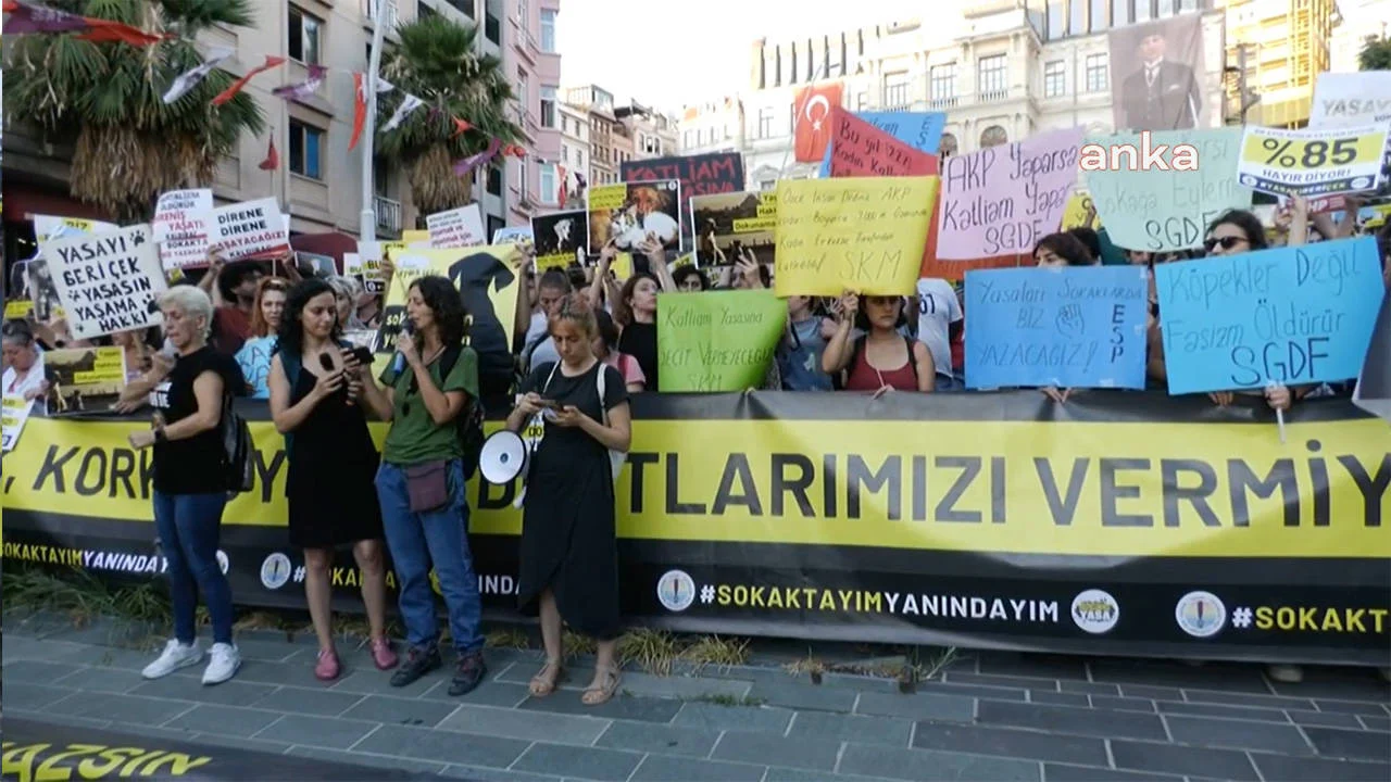 yasam-savunuculari-katliama-yasasina-karsi-ankara-ve-istanbul-da-bir-araya-geldi